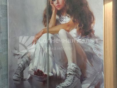 Шкаф-купе — договор 17.07.01В