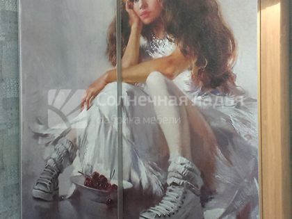 Шкаф-купе — договор 17.07.01В