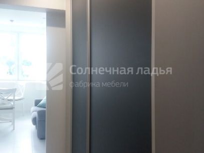 Шкаф-купе — договор 17.06.20л