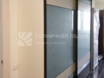 Шкаф-купе в прихожую — договор 17.06.15м