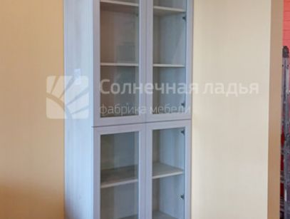 Шкаф-купе — договор 17.06.17л