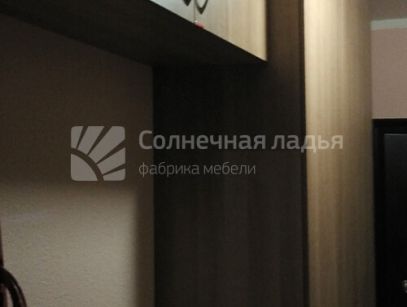Шкаф-купе — договор 17.06.13Р