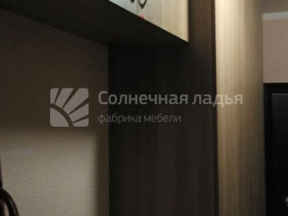 Шкаф-купе — договор 17.06.13Р