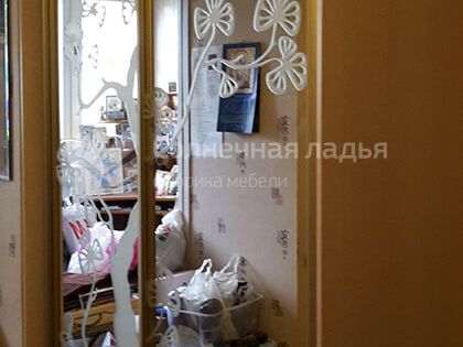 Шкаф-купе — договор 17.06.19в